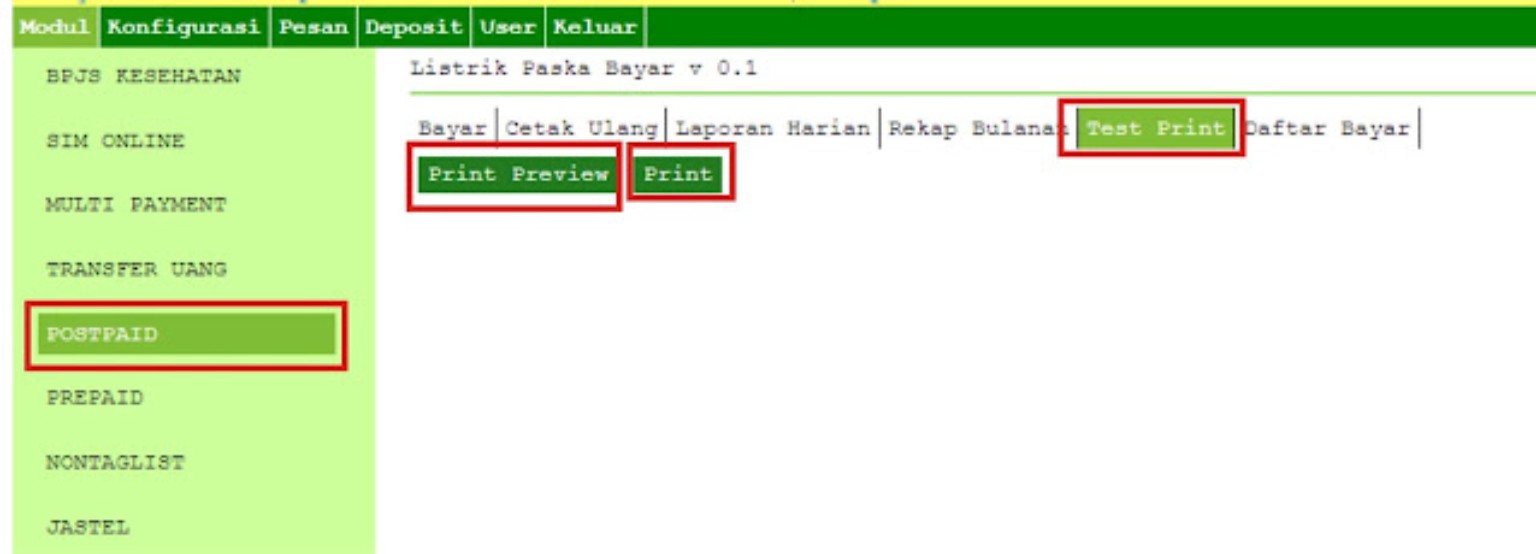 Tab Test Print SBPAYS dengan tombol Print Preview dan Print